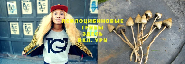 2c-b Михайловка